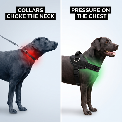 GentleChest™ – Choke-Free Dog Harness